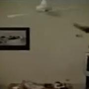 Cat Stuck In Ceiling Fan You Spin Me Right Round