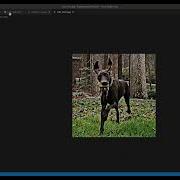 Yolo V1 From Scratch Using Tensorflow Part 1 Preprocessing Data