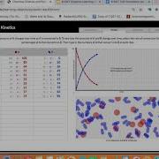 Simulation Reaction Rate