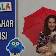 Sonbahar Ezo Sunal Çocuk Şarkısı