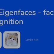 14 Solution Cat Eigenfaces Face Recognition Code Demo