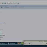 Changing SAP Web Service Password