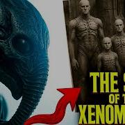 Prometheus Explained The Lost History Of The Engineers