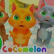 15 MIN LOOP Three Little Kittens Animal Songs For Kids CoComelon
