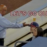 MLB Reckless Fans