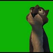 I Ll Do Anything I Ll Do Whatever It Takes Squirrel Meme Green Screen