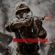 More Muzzle Flash Test