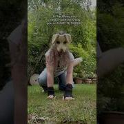 JUMP TUTORIAL Tips I Hope This Helped Alterhuman Quadrobics Therian Jump Antizoo