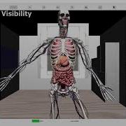 Full Functionality Of XRay Simulator