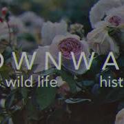This Wild Life History Slowed Reverbed
