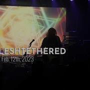 GREYFLESHTETHERED Live At Saint Vitus Bar Feb 12th 2023 FULL SET