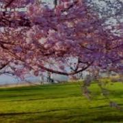 Yiruma Spring Time