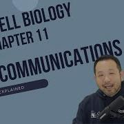 AP Biology Клеточные коммуникации Глава 11 по биологии Кэмпбелла