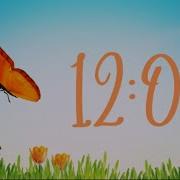 12 Minute Spring Timer
