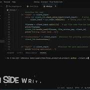 Distributed File System IT 559