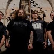 NAPALM DEATH I Abstain LIVE 2019 HD