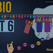 Everything You MUST Know About Gene Expression AP Bio Unit 6