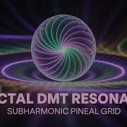 Fractal DMT Resonance Subharmonic Pineal Grid