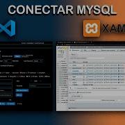 Como Conectar MySQL XAMPP Con Visual Studio Code