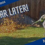 Ego 765CFM Leaf Blower 1 Year Update