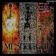 04 Meshuggah Transfixion