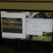 Frogger CSCI4140 2013 14 Project