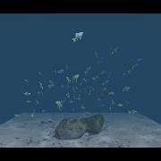 Flocking Shoaling Schooling Whatever Fish Unity 5