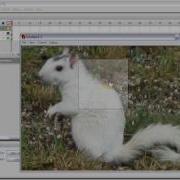 Magic Mouse Pan Image Windows Flash AS3 Tutorial CS3 CS4