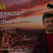 Seyda Perînçek Mêrdinê