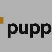 Configuration Management With Puppet The Initial Setup