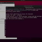 Cuckoo Sandbox API Trace Collection Demo For Ransomware Detection By Wenjia Song