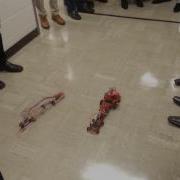 Autonamo Autonomous Bio Metric Inchworm Robot Race