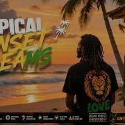 TROPICAL SUNSET DREAMS Modern Roots Reggae Deep Dub Bass Island Vibes Playlist