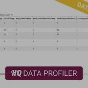 Best Data Profiler Tool Demo Tutorial Supports JSON CSV And Other Formats HQ Data Profiler