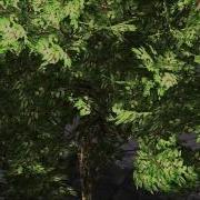 PixelSalad Rendering Engine WIP 11 DirectX 11 Transparency