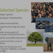 APES Unit 3 Lecture Population 1 5