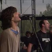 Bad Religion Generator Only Pro Shot Ever From 1995 Live At Pinkpop 1995