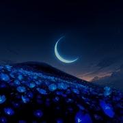 Nomyn Vayu Lunar