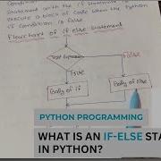 If Else Statements In Python Conditional Statements Python Programming Class 11 CSE GYAN