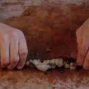 Cod Fishing Baits Video Black Lug And Razorfish Wrap