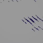 Lizard Mov