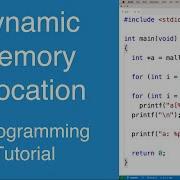 Dynamic Memory Allocation C Programming Tutorial