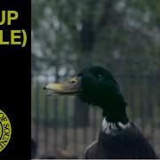 Bingo Players Ft Far East Movement Get Up Rattle Official Music Video Ministry Of Sound