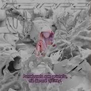 IC3PEAK Ожоги Burns Ft Boulevard Depo Slovak Sub