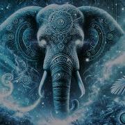 Elephantasmagoria ZerO G YoGi