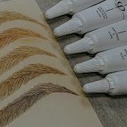 Microblading Advanced Latex Training Kit