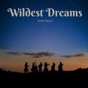 Wildest Dreams
