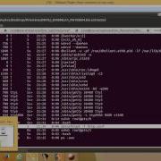 ARM ASLR Bypass Buffer Overflow In Dlink Router