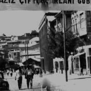 Kahtalı Mıçı Zeloya Mektup Şiir Ve Gazel