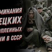 Пережить советский ПЛЕН Воспоминания немецких солдат и отношение к пленным